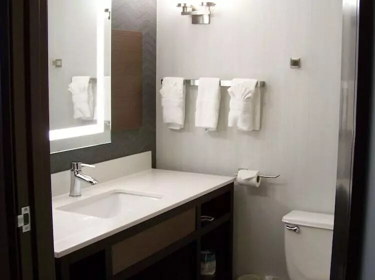 スタンダードルーム, Hilton Garden Inn Des Moines West
