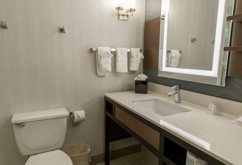 חדר סטנדרט, Hilton Garden Inn Des Moines West