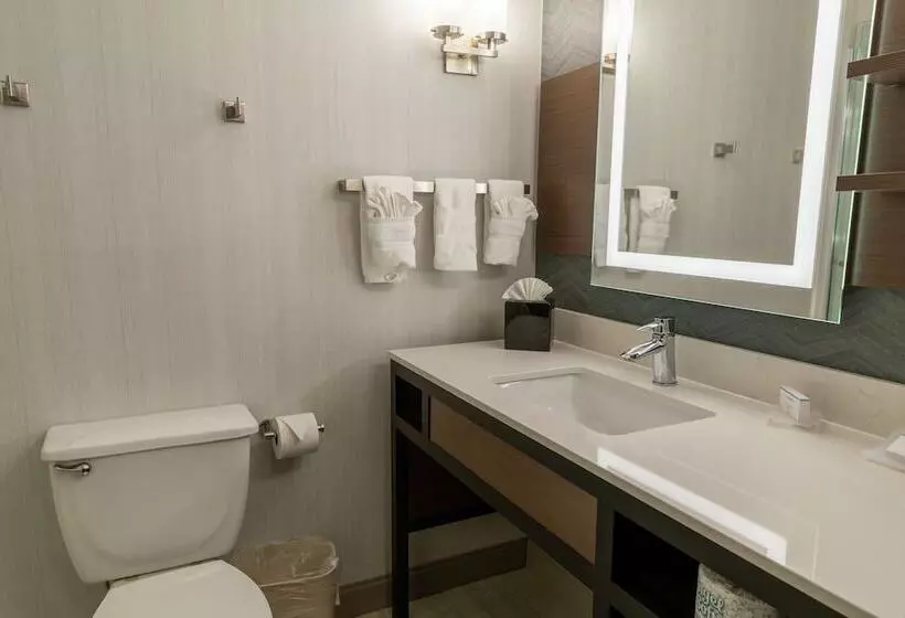 スタンダードルーム, Hilton Garden Inn Des Moines West