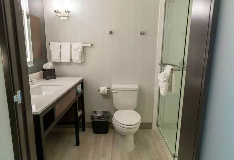 スイート, Hilton Garden Inn Des Moines West