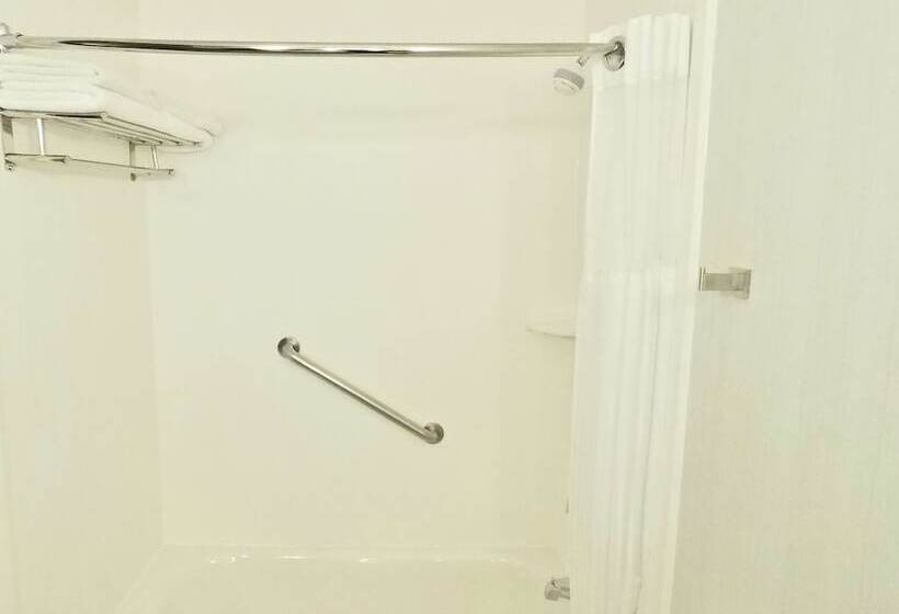 חדר סטנדרט, מיטת קינג, מותאם לאדם עם מוגבלויות, Hilton Garden Inn Des Moines West