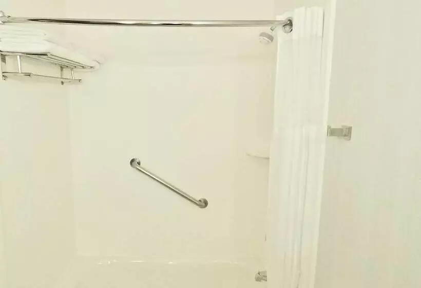 身障者適用キングサイズベッドルーム, Hilton Garden Inn Des Moines West
