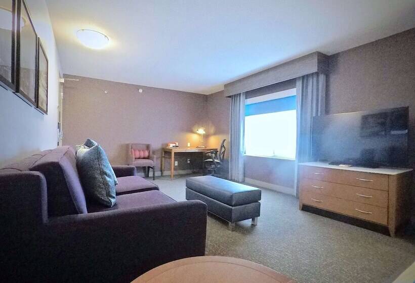 סוויטה דלוקס, Hilton Garden Inn Des Moines West