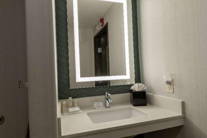 חדר סטנדרט עם מיטת קינג, Hilton Garden Inn Des Moines West