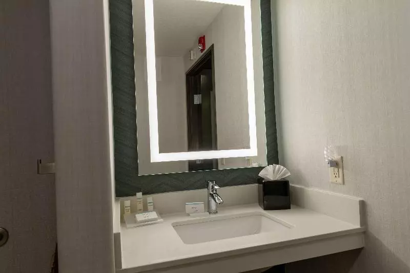 キングサイズベッドのスタンダードルーム, Hilton Garden Inn Des Moines West