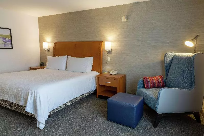 キングサイズベッドのスタンダードルーム, Hilton Garden Inn Des Moines West