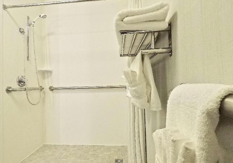 חדר סטנדרט עם מיטת קינג, Hilton Garden Inn Des Moines West