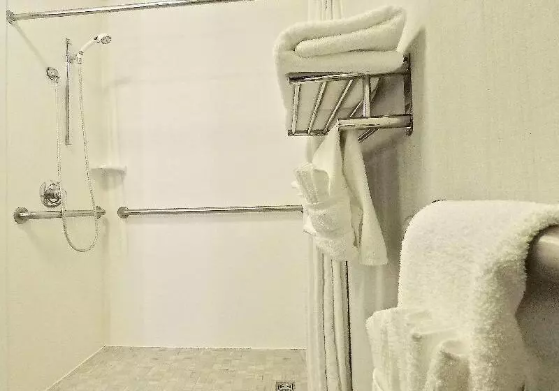 キングサイズベッドのスタンダードルーム, Hilton Garden Inn Des Moines West