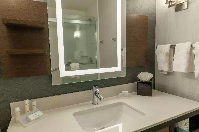 キングサイズベッドのスタンダードルーム, Hilton Garden Inn Des Moines West