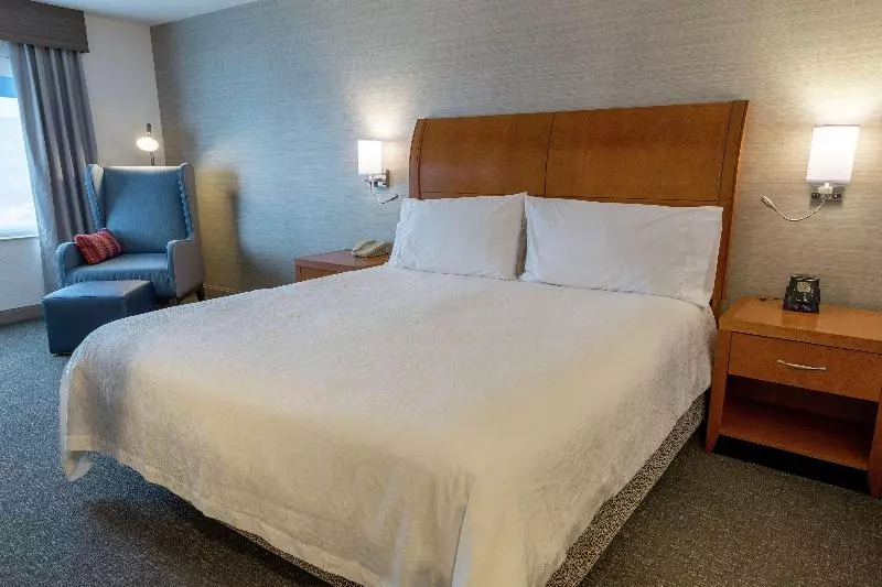 キングサイズベッドのスタンダードルーム, Hilton Garden Inn Des Moines West