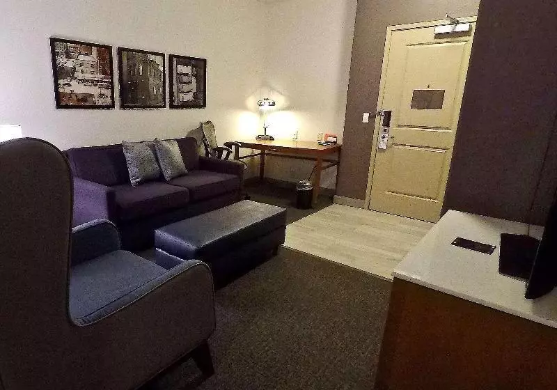 キングサイズベッドのスイートルーム, Hilton Garden Inn Des Moines West