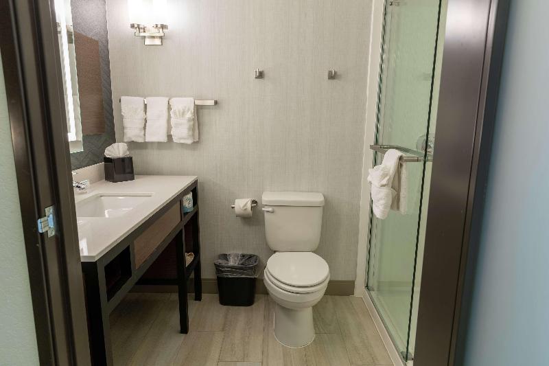 מיטת קינג בסוויטה, Hilton Garden Inn Des Moines West