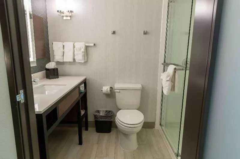 キングサイズベッドのスイートルーム, Hilton Garden Inn Des Moines West