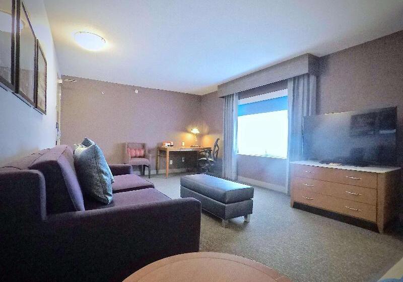Люкс Повышенной Комфортности, Hilton Garden Inn Des Moines West