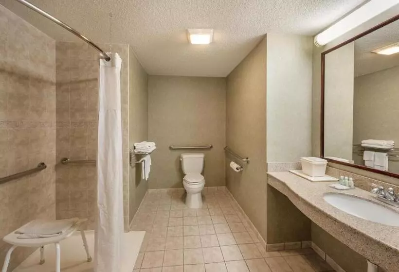 身障者適用キングサイズベッドルーム, Quality Inn & Suites Fishkill South Near I 84