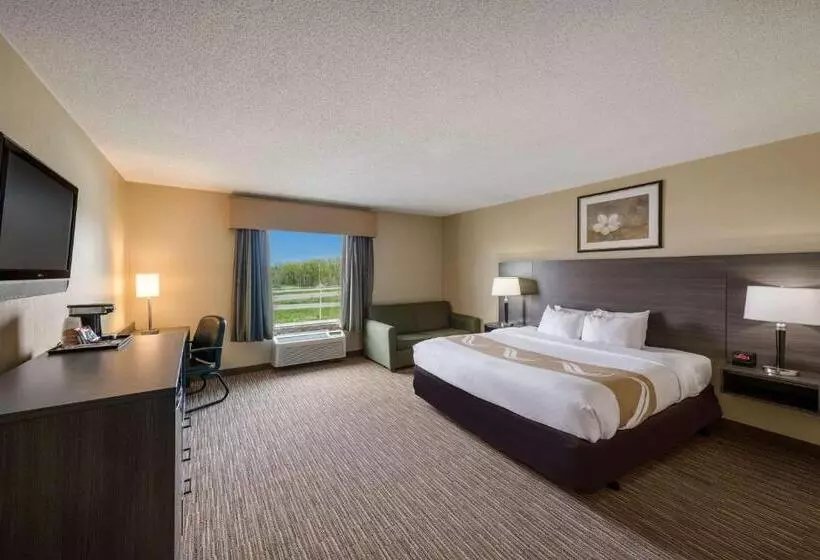 身障者適用キングサイズベッドルーム, Quality Inn & Suites Fishkill South Near I 84