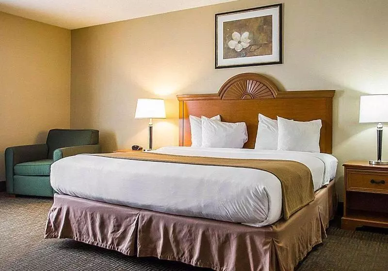 キングサイズベッドのスタンダードルーム, Quality Inn & Suites Fishkill South Near I 84
