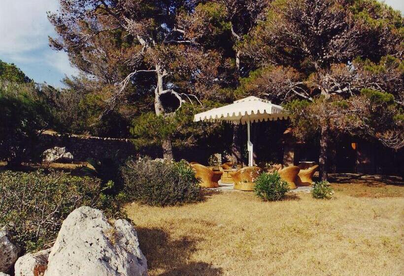 חדר דלוקס, Animosque Giannutri