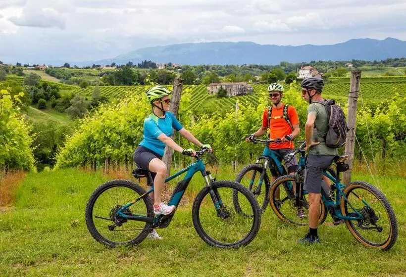 スタンダードシングルルーム, Agriturismo Vidalli Colvidor
