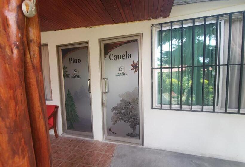 استودیو استاندارد با چشم‌انداز باغ, Casa Blanca Hortencia