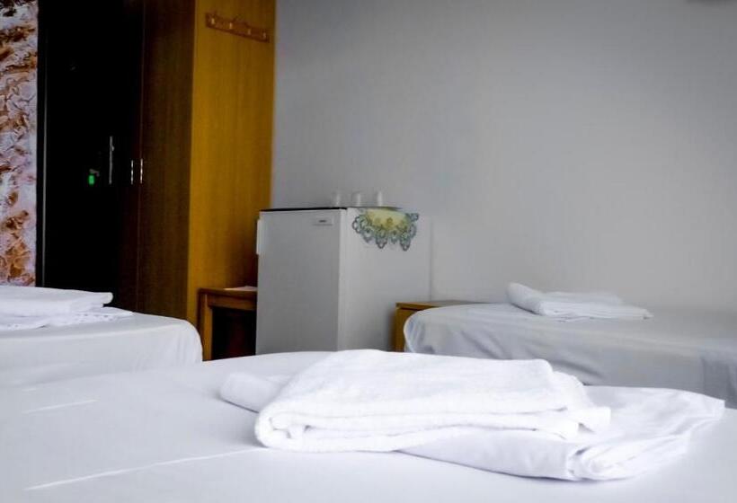 Номер Стандарт Трехместный, Pensiunea Danubio