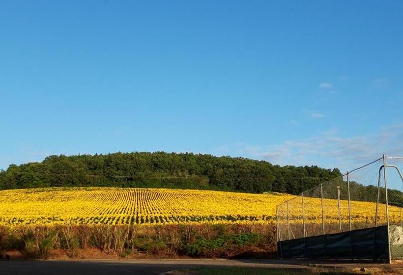 חדר משפחתי, Les Chambres De Lili