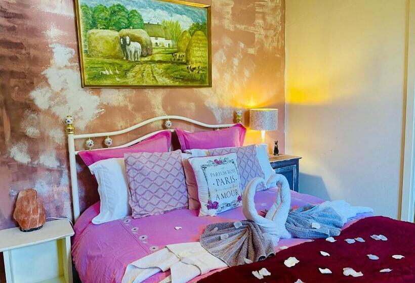 Номер Стандарт, Les Contes