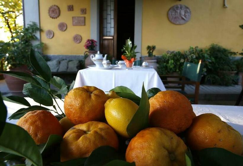 חדר סטנדרט, Agriturismo Il Poggetto