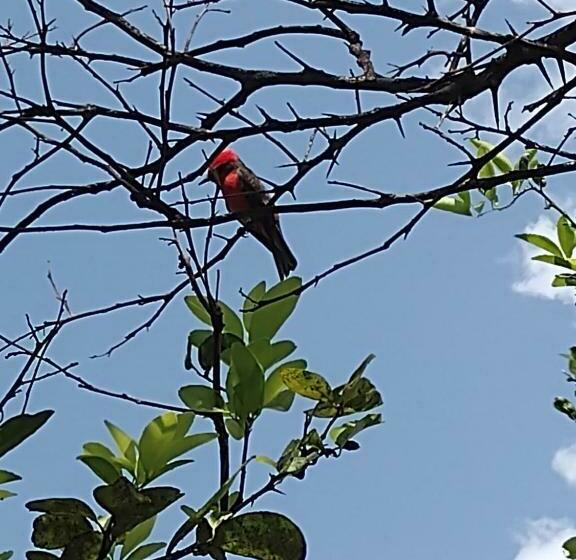 Family Suite, Villa Falian Nido Colibrí