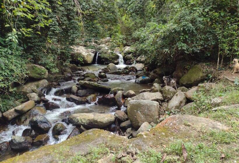 Family Suite, Villa Falian Nido Colibrí