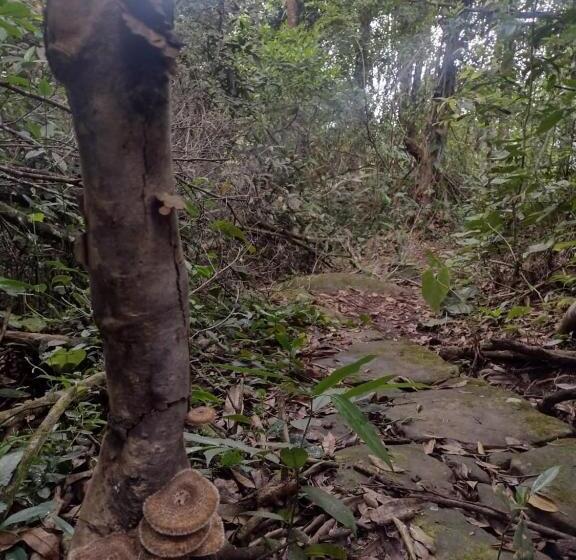 Family Suite, Villa Falian Nido Colibrí