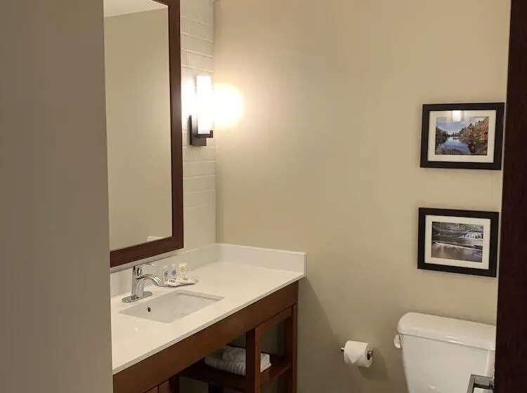 身障者適用スイートルーム, Comfort Inn & Suites
