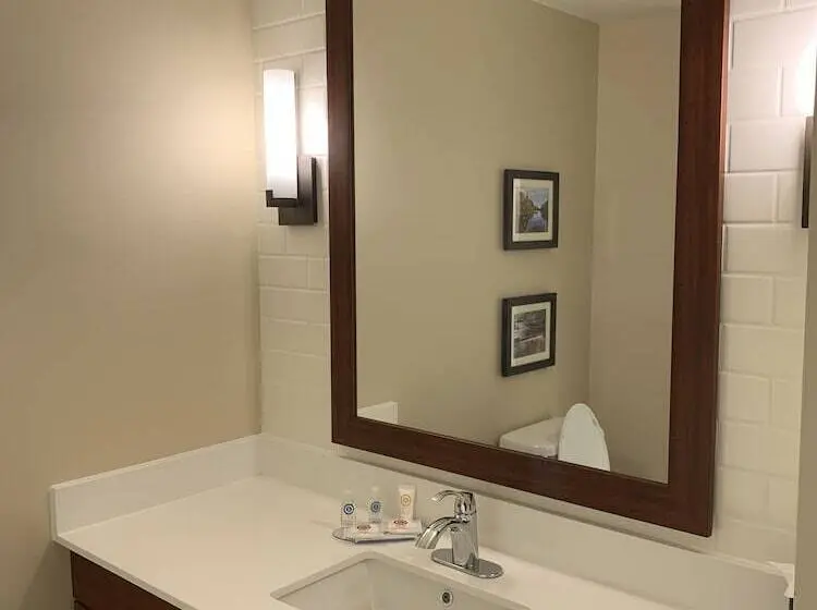 身障者適用スイートルーム, Comfort Inn & Suites