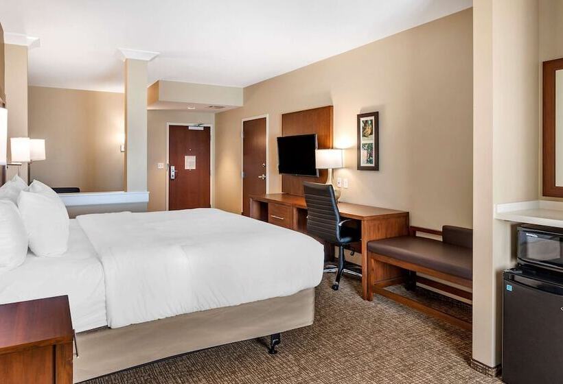 Люкс Адаптированный для Инвалидов, Comfort Inn & Suites