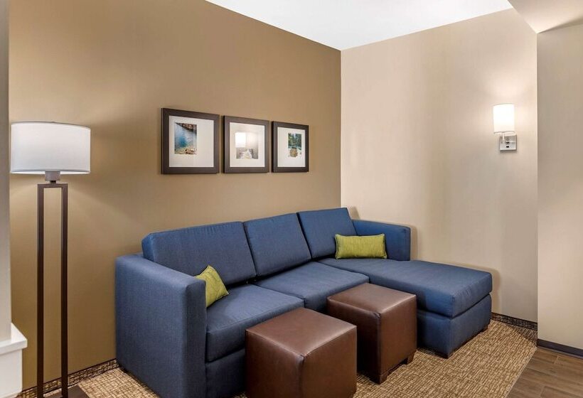 Люкс Адаптированный для Инвалидов, Comfort Inn & Suites