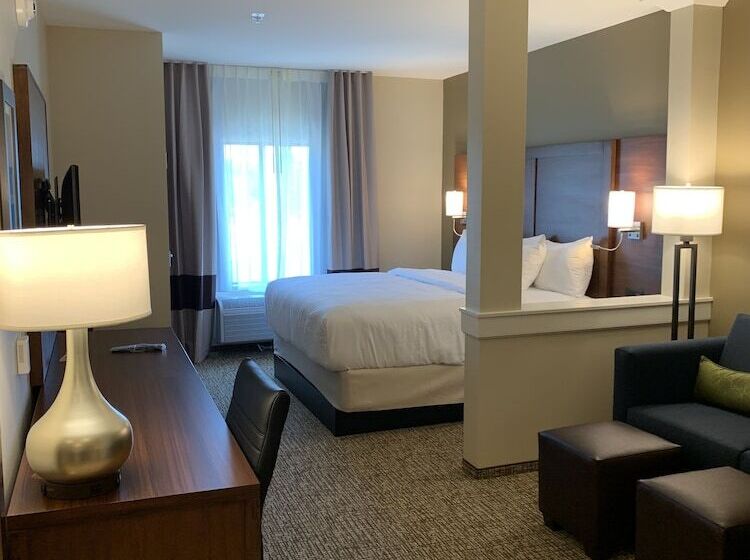 Люкс Адаптированный для Инвалидов, Comfort Inn & Suites