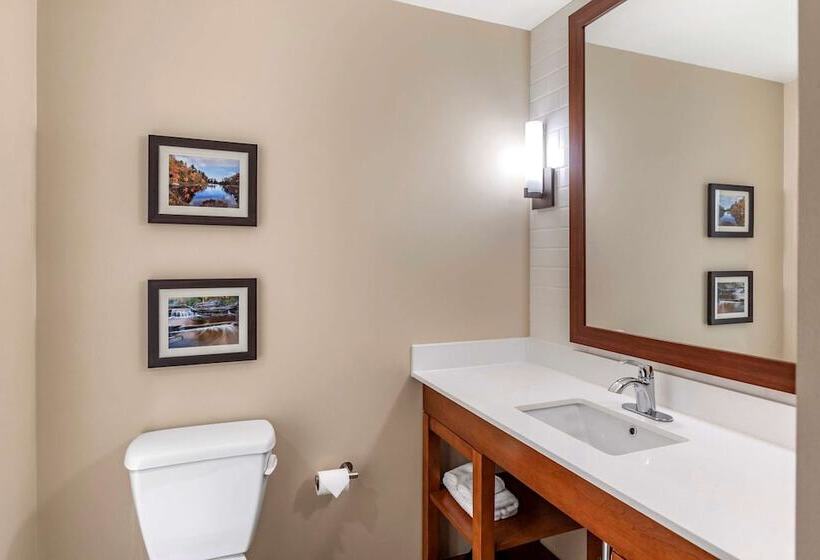 Люкс Адаптированный для Инвалидов, Comfort Inn & Suites