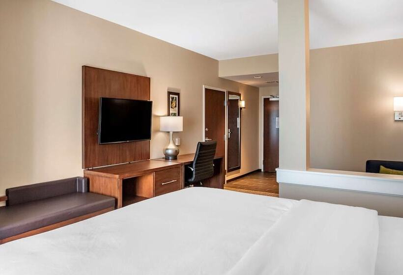 Люкс Адаптированный для Инвалидов, Comfort Inn & Suites