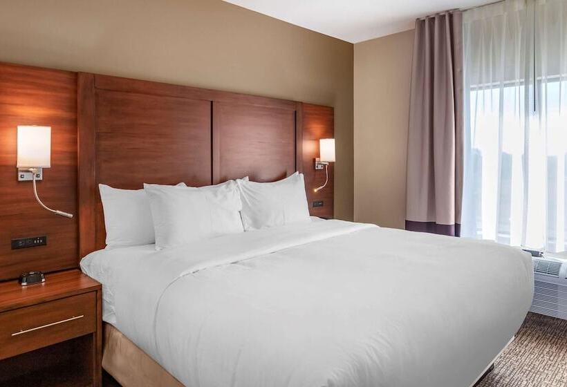 Люкс Адаптированный для Инвалидов, Comfort Inn & Suites