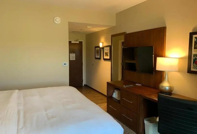 キングサイズベッドのスタンダードルーム, Comfort Inn & Suites