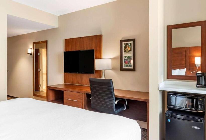 Стандартный Номер Кровать Кинг, Comfort Inn & Suites