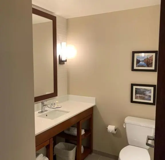 キングサイズベッドのスイートルーム, Comfort Inn & Suites