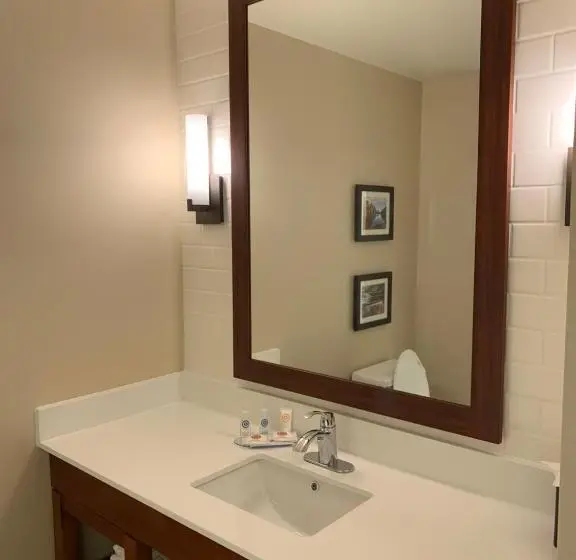 キングサイズベッドのスイートルーム, Comfort Inn & Suites