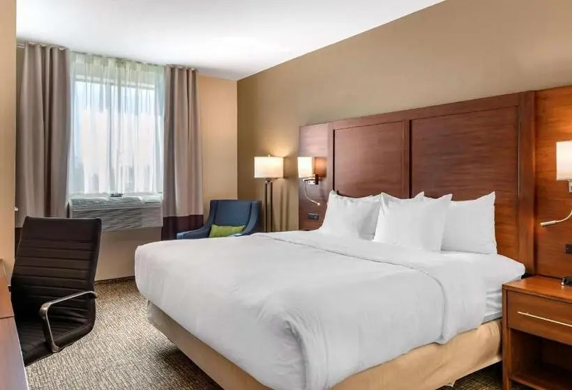 身障者適用キングサイズベッドルーム, Comfort Inn & Suites