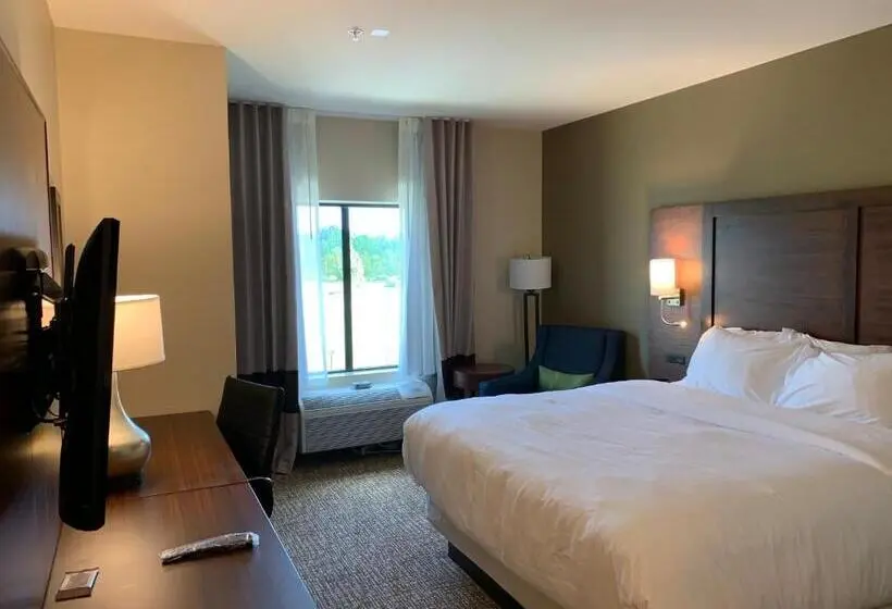 身障者適用キングサイズベッドルーム, Comfort Inn & Suites