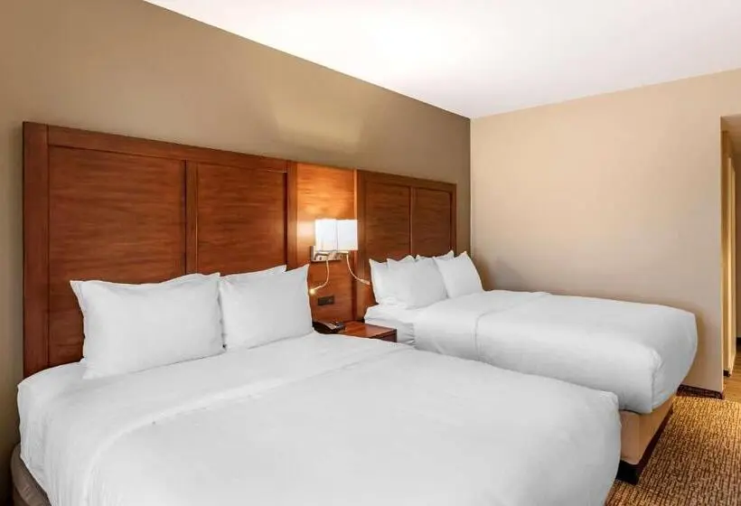 身障者適用スタンダードルーム, Comfort Inn & Suites