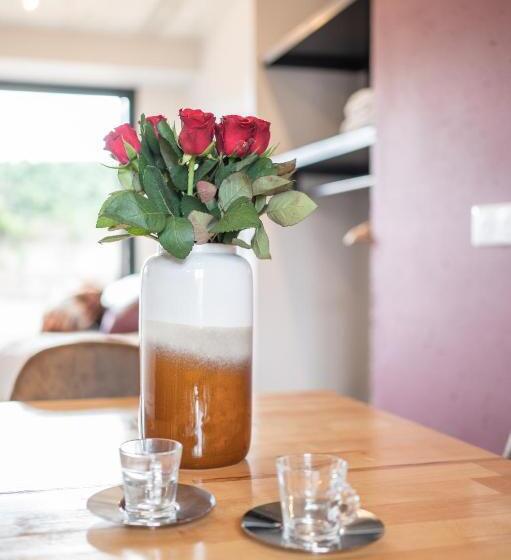 סטודיו סטנדרט עם מרפסת, Au Coeur Du Village