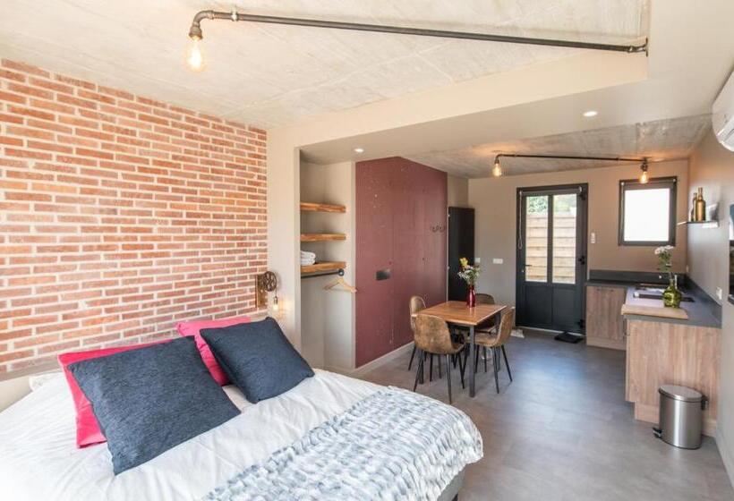 סטודיו סטנדרט עם מרפסת, Au Coeur Du Village