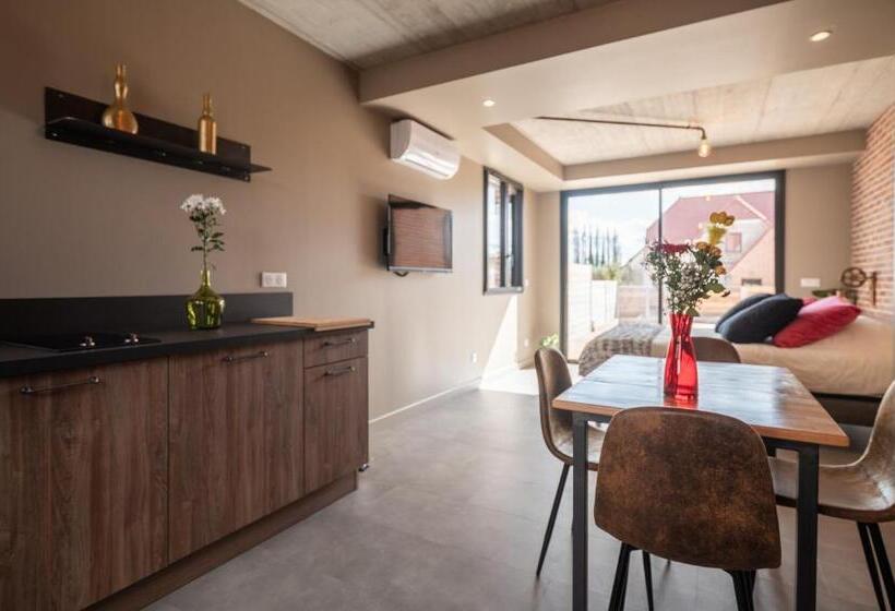 סטודיו סטנדרט עם מרפסת, Au Coeur Du Village