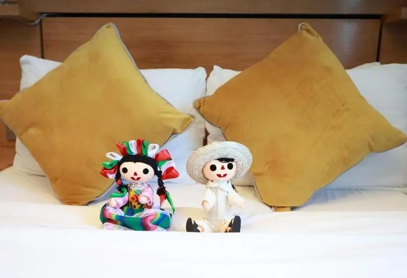 エコノミールーム, Casa Panuco